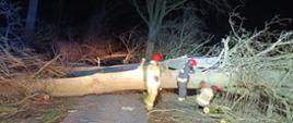 Trzy połamane drzewa blokując przejazd drogą lokalną. Trzech strażaków uczestniczy w usuwaniu drzew.