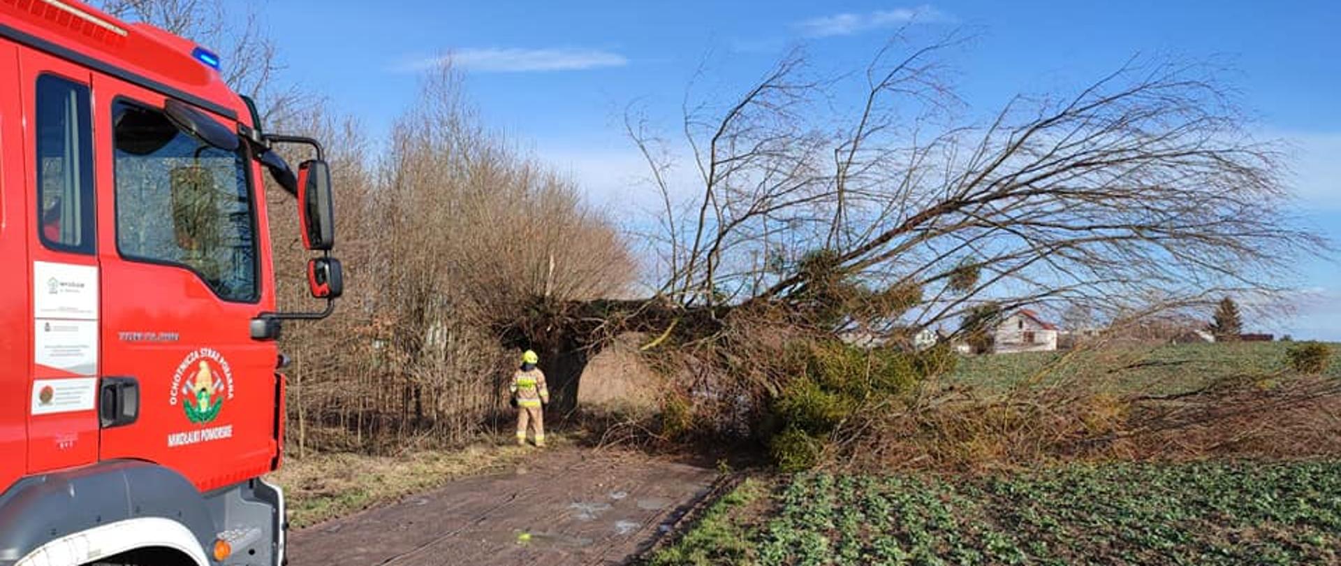 Pora dzienna, z lewej strony kadru widać pojazd pożarniczy, przez środek przebiega droga a nad drogą zwisa drzewo. W okolicy drzewa stoi ratownik OSP.