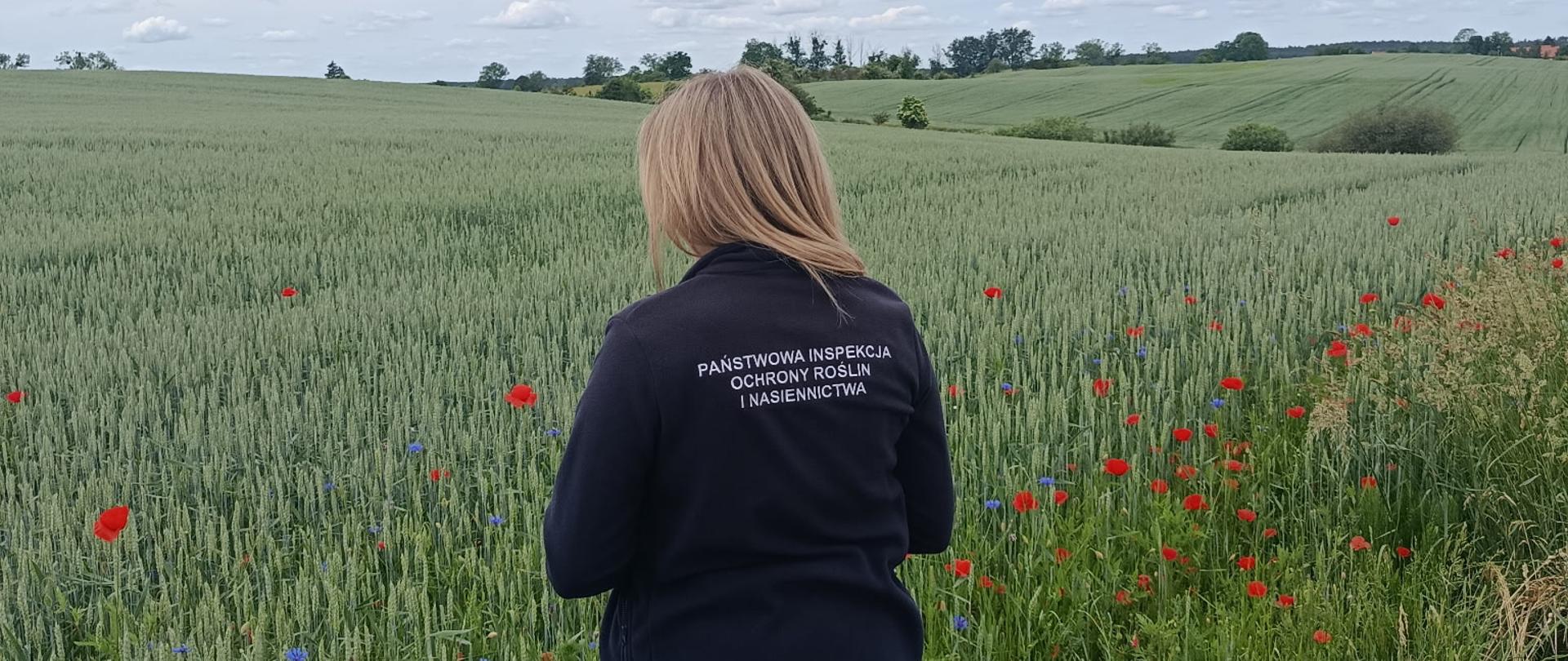 Kobieta o długich blond włosach stoi tyłem na skraju łanu pszenicy, wśród którego kwitną czerwone maki i niebieskie chabry