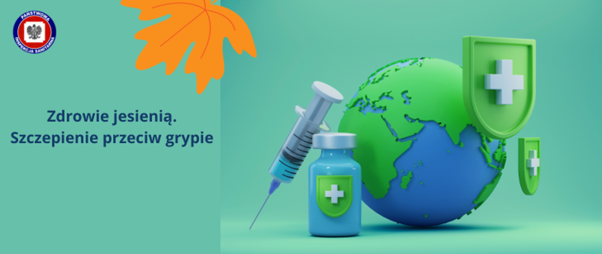 Z lewej strony zielonej grafiki granatowy napis Zdrowie jesienią. Szczepienie przeciw grypie, z jego prawej strony u góry brązowy liść, z jego lewej strony logo Państwowej Inspekcji Sanitarnej. Po prawej stronie grafiki kula ziemska w kolorze zielono-niebieskim, z jej prawej strony dwie zielone tarcze z białym krzyżem (symbol apteki) na środku, z lewej fiolka z zieloną tarczą i białym krzyżem i oparta o nią strzykawka. 