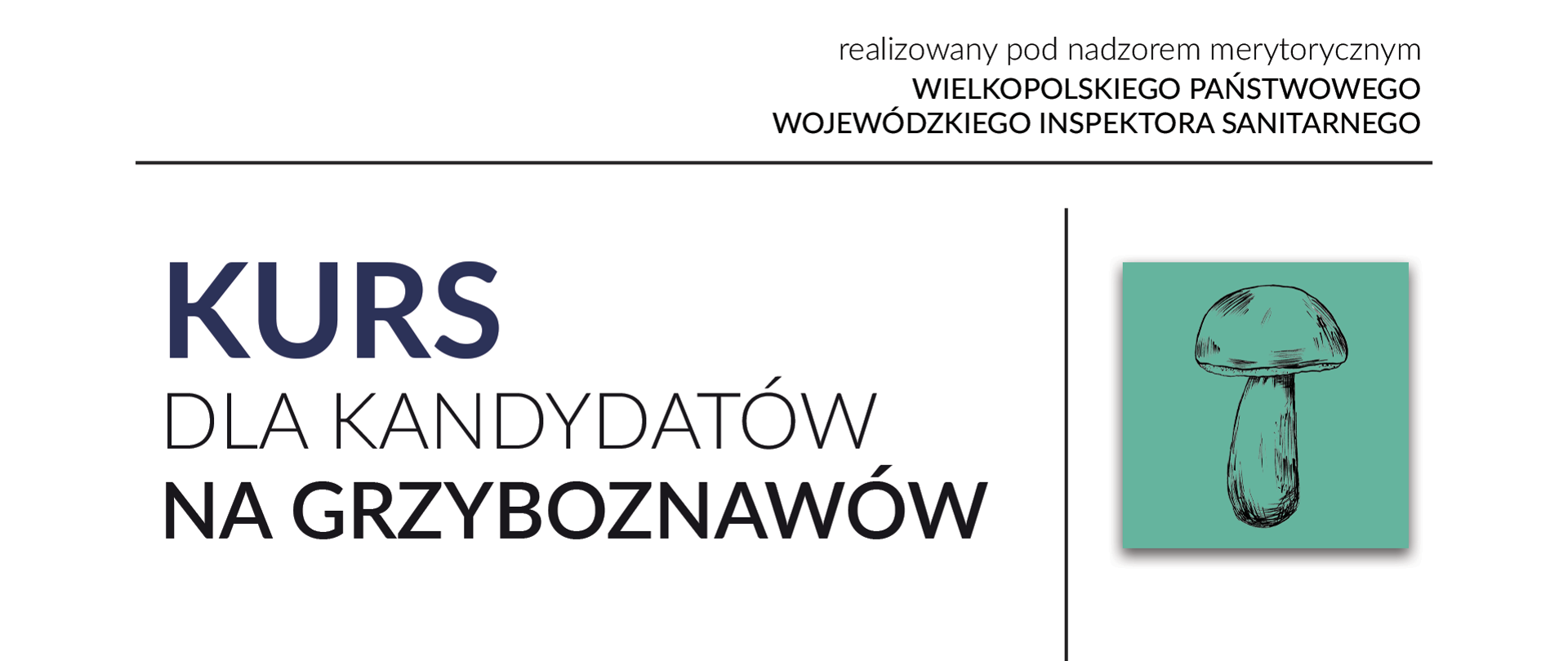 kurs grzyboznawca baner rysunek grzyba
