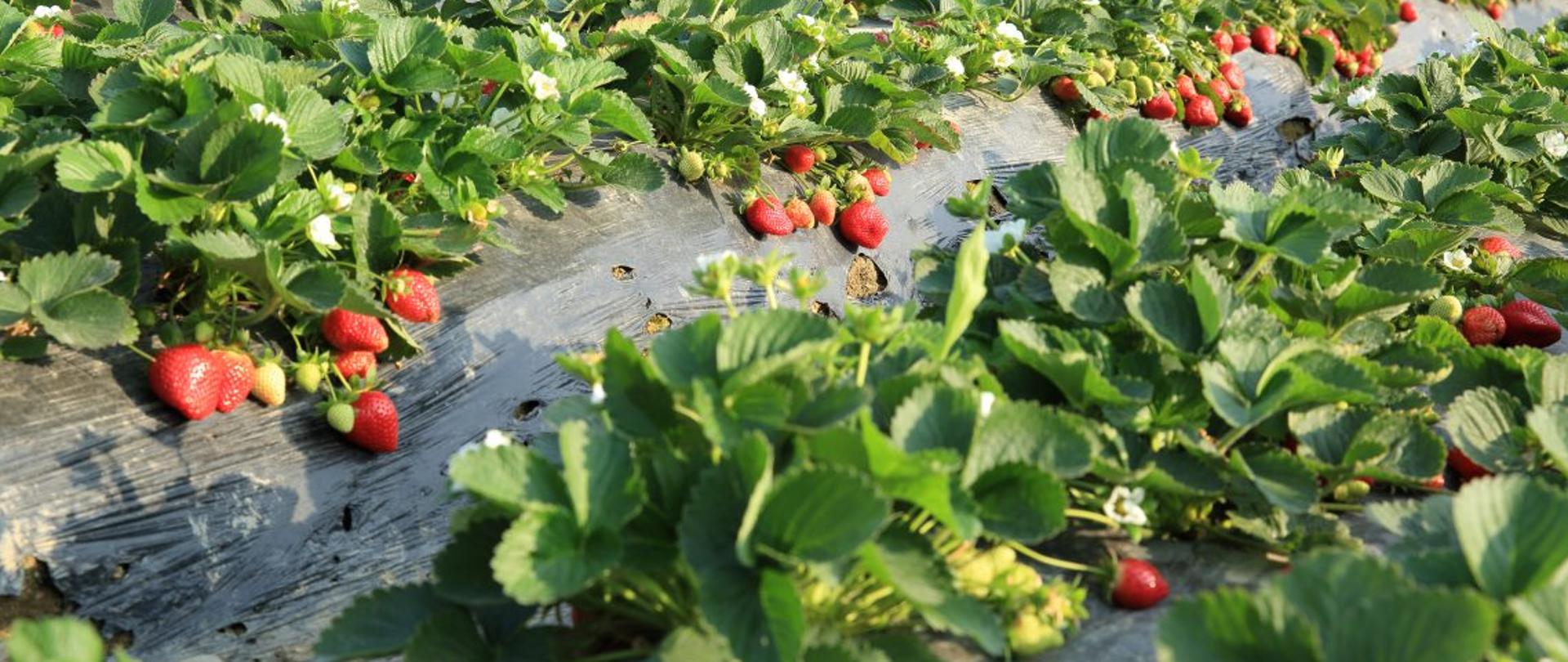 Depositphotos_108749590_xl-2015-1140x520