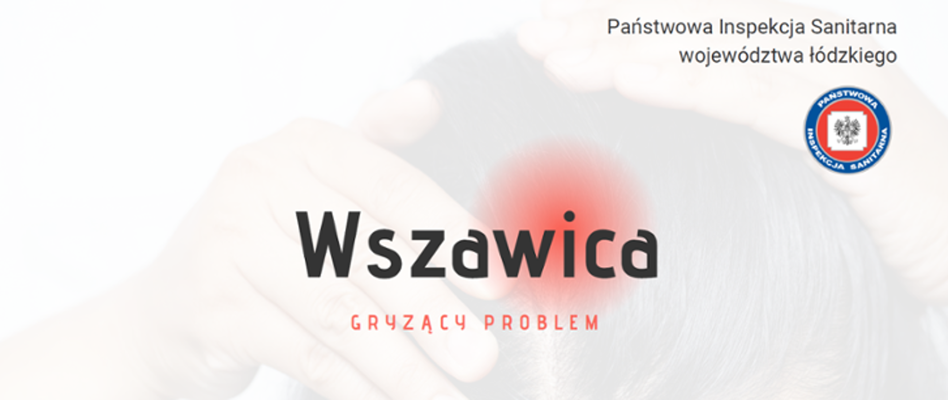 Wszawica