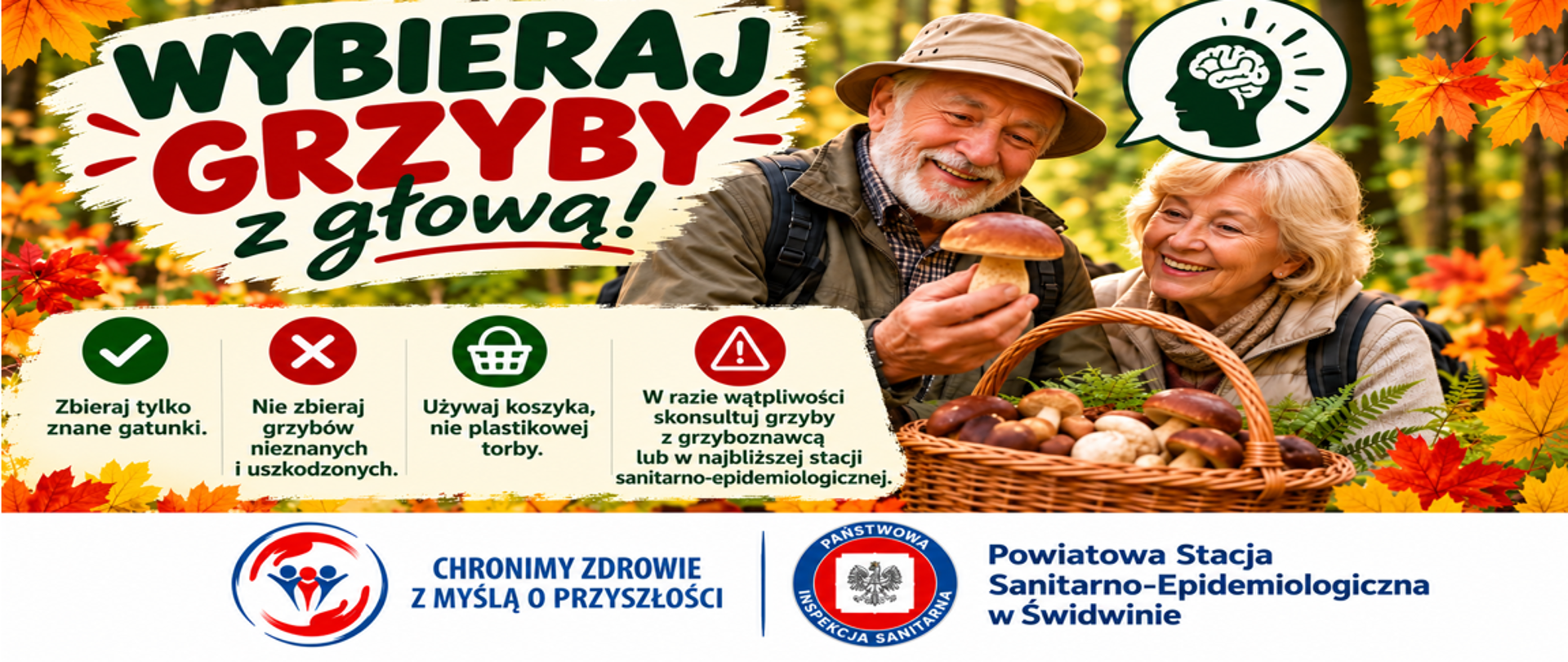 Seniorze, wybieraj grzyby z głową!