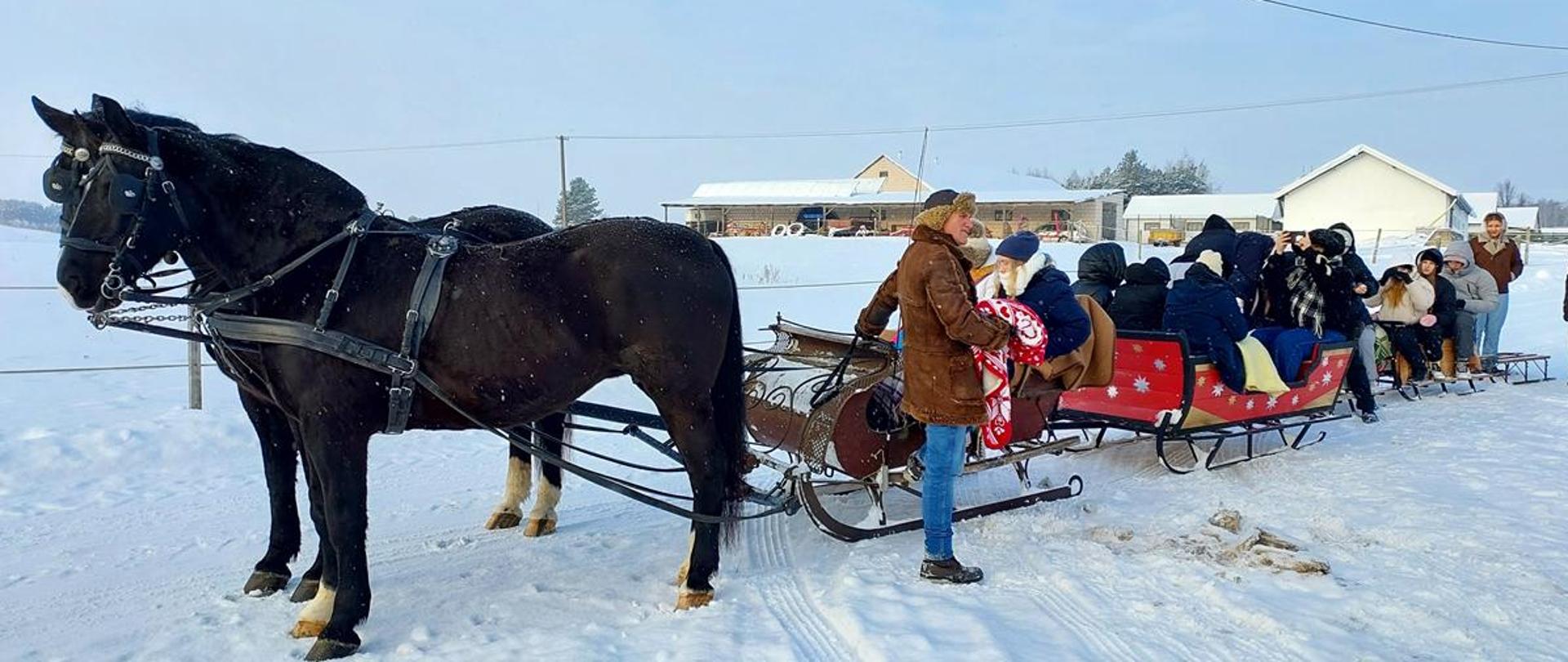 Dwa konie zaprzężone do sań, w których siedzi grupa młodzieży. 