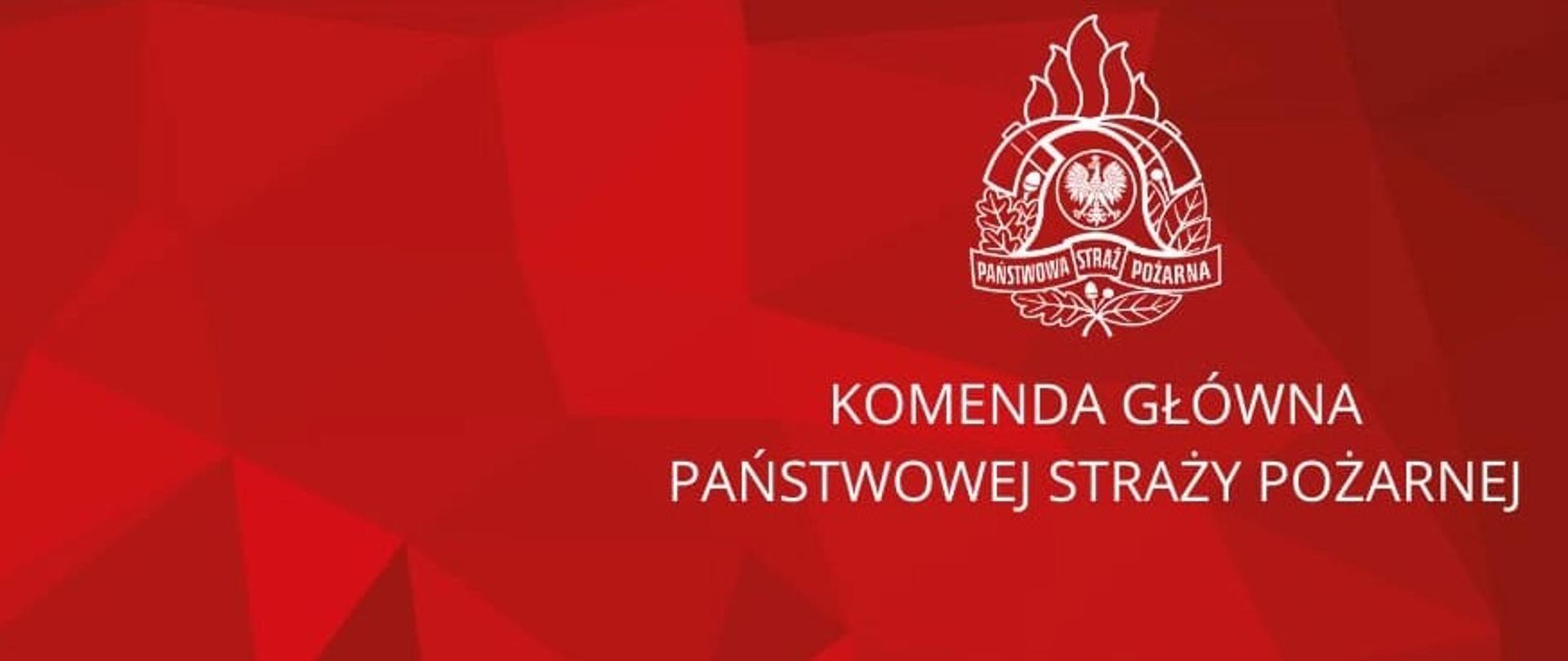 Zdjęcie przedstawia grafikę poglądowa KG PSP