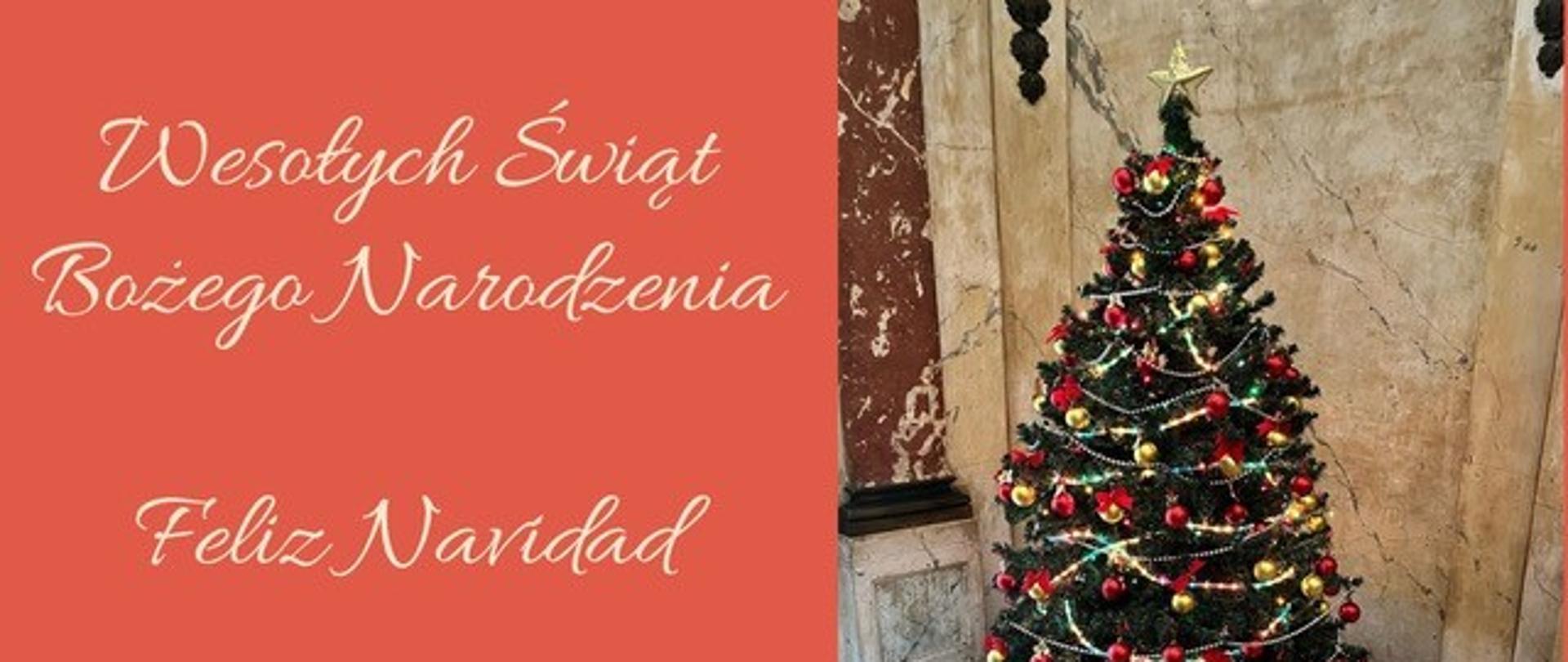 Deseamos a todos nuestros amigos de Argentina, Uruguay y Paraguay, a sus familiares y seres queridos una feliz Navidad.