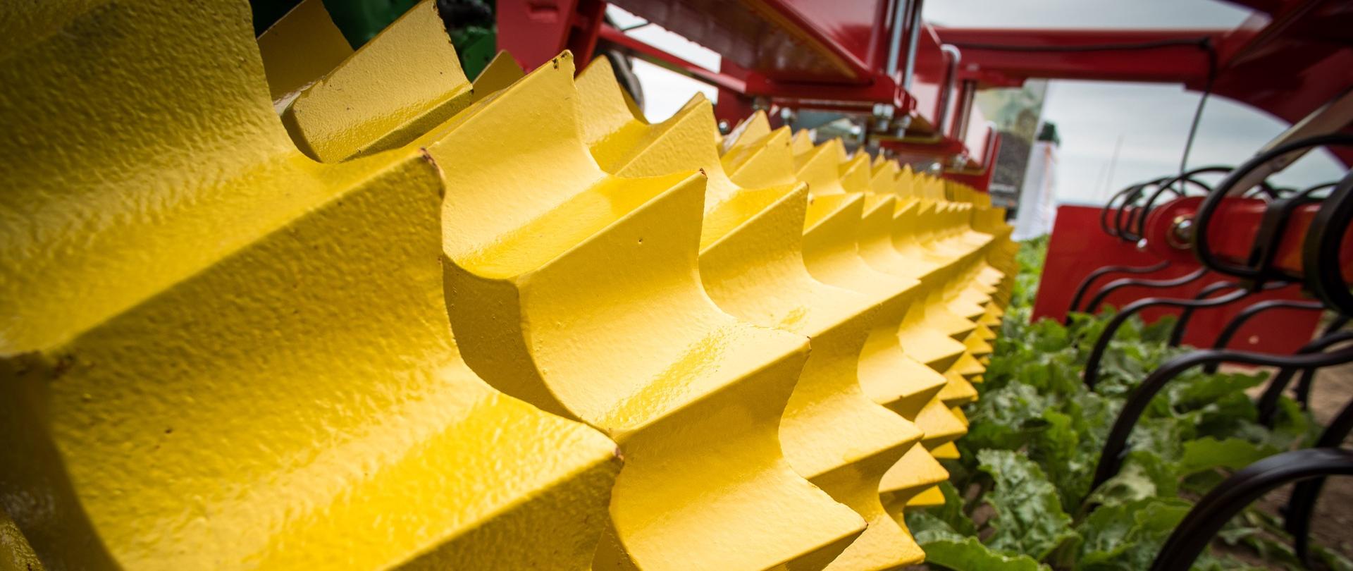 zdjęcie symbolizujące technologie w rolnictwie