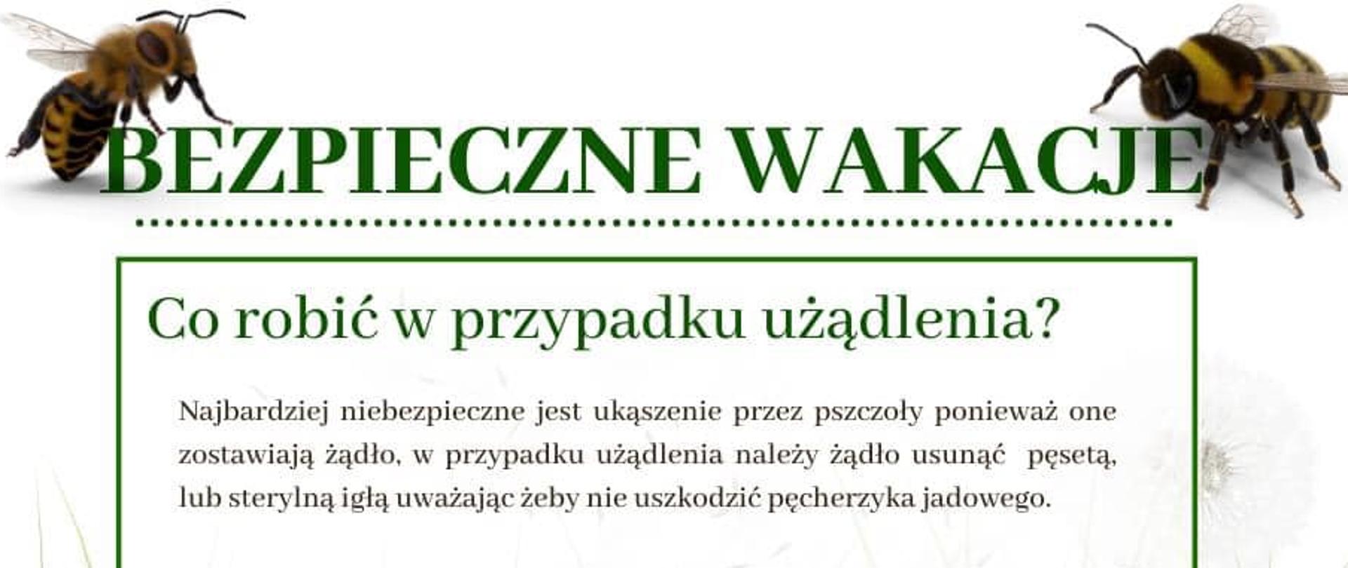 Co robić w przypadku użądlenia