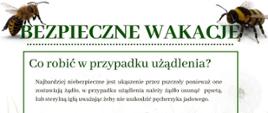 Co robić w przypadku użądlenia
