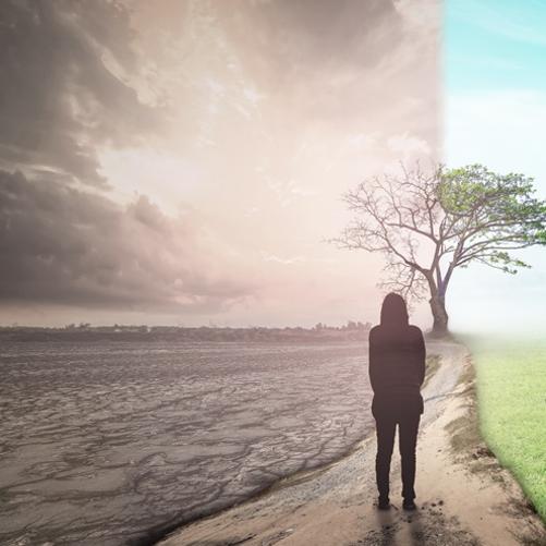 pole samotna postać i samotne drzewo