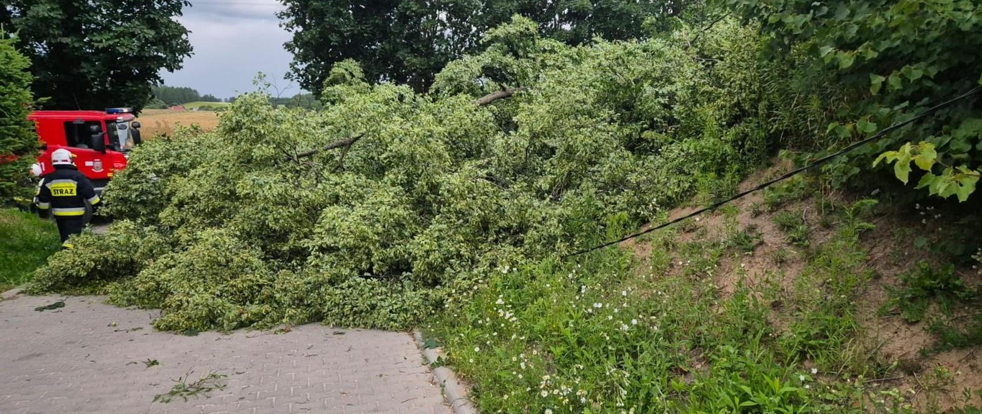 37 interwencji strażaków w powiecie ostródzkim po przejściu burz