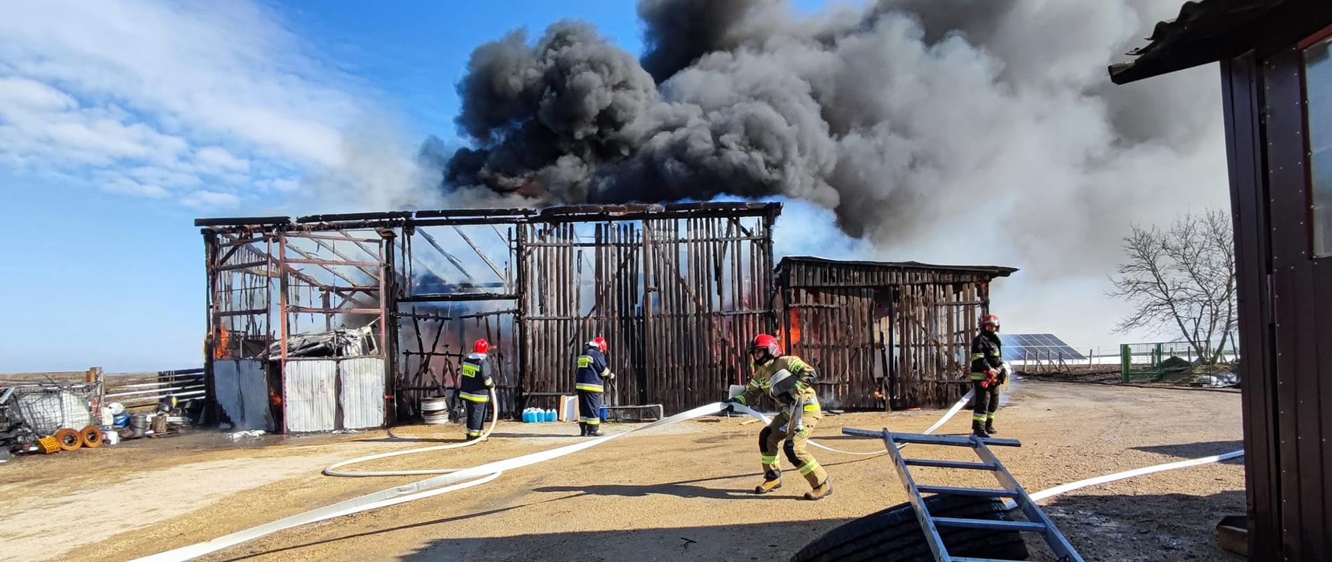 Strażacy PSP i OSP podczas akcji gaśniczej oraz w trakcie rozwijania kolejnej linii gaśniczej. W tle widoczna płonąca stodoła oraz budynek gospodarczy (wiata). Nad obiektami czarny gęsty dym z pożaru. Strażacy w ubraniach specjalnych i czerwonych hełmach na głowach.