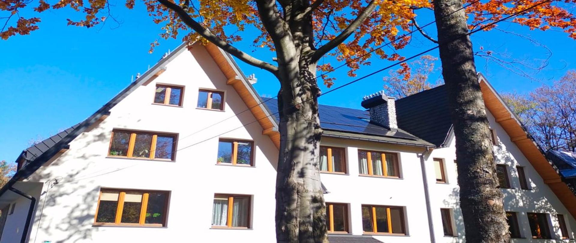 tył budynku panorama