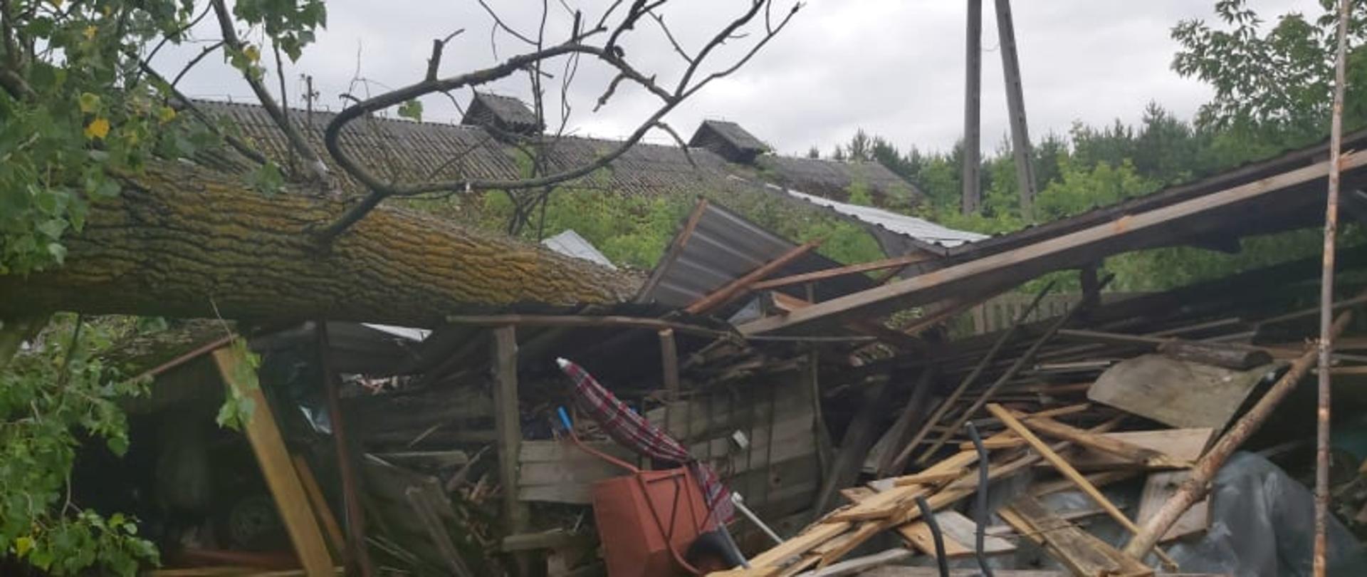 Drzewo złamane wskutek silnych wiatrów leży na budynku gospodarczym.