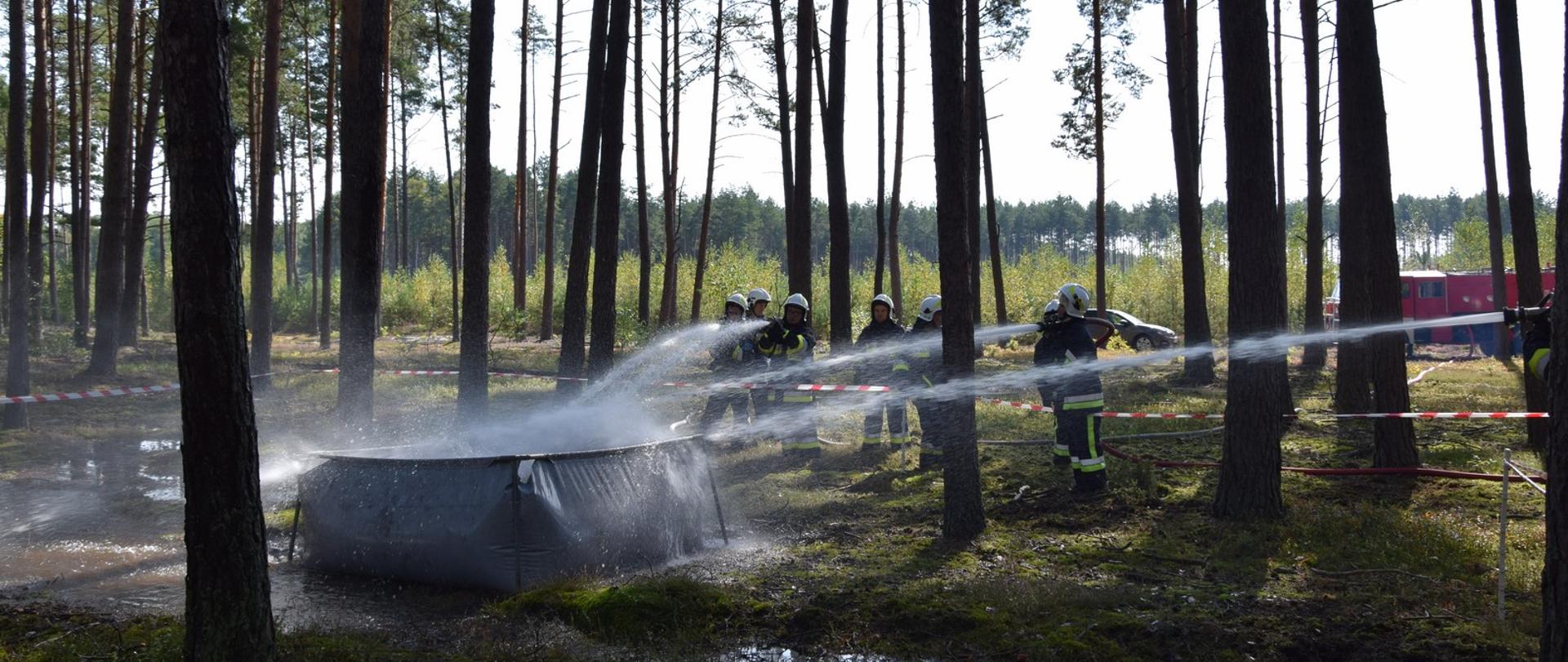 Strażacy prowadzą działania gaśnicze w lesie