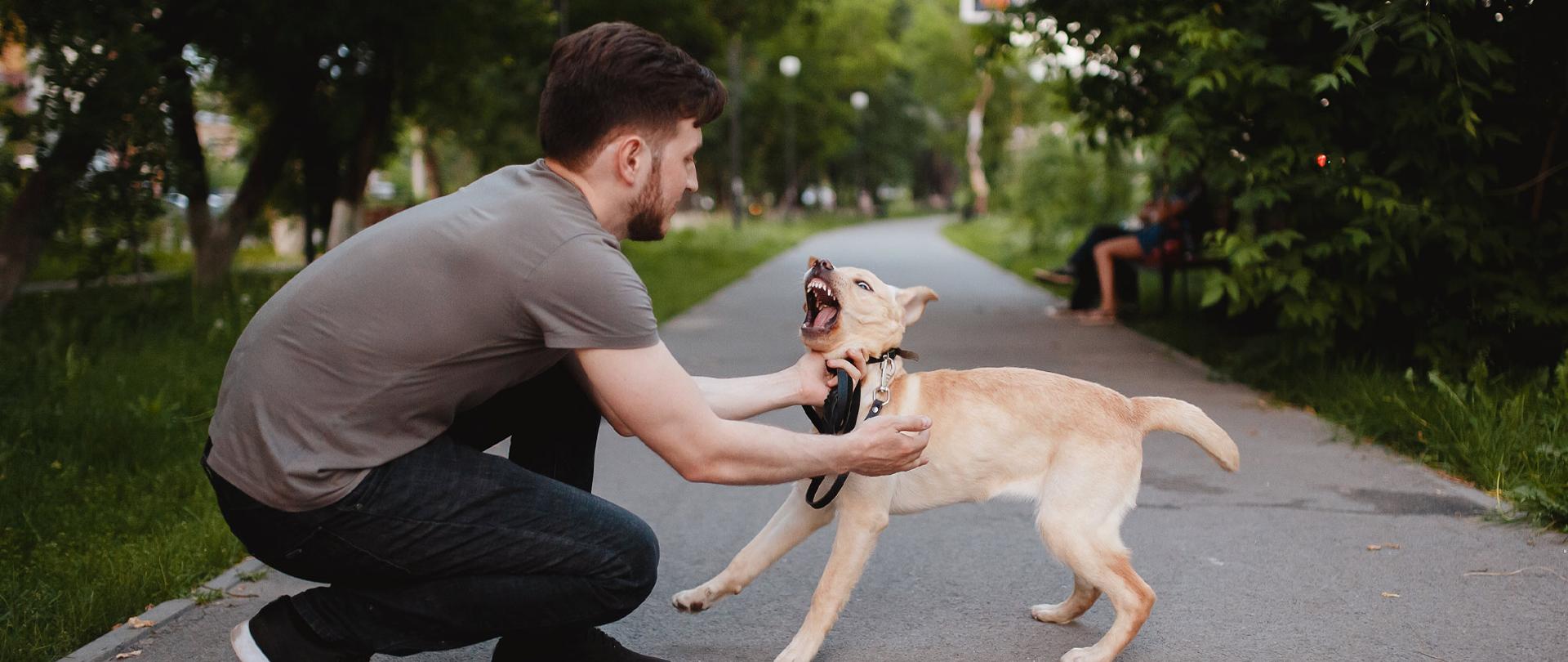 Kucający mężczyzna przytrzymuje wściekłego, szczerzącego zęby psa
