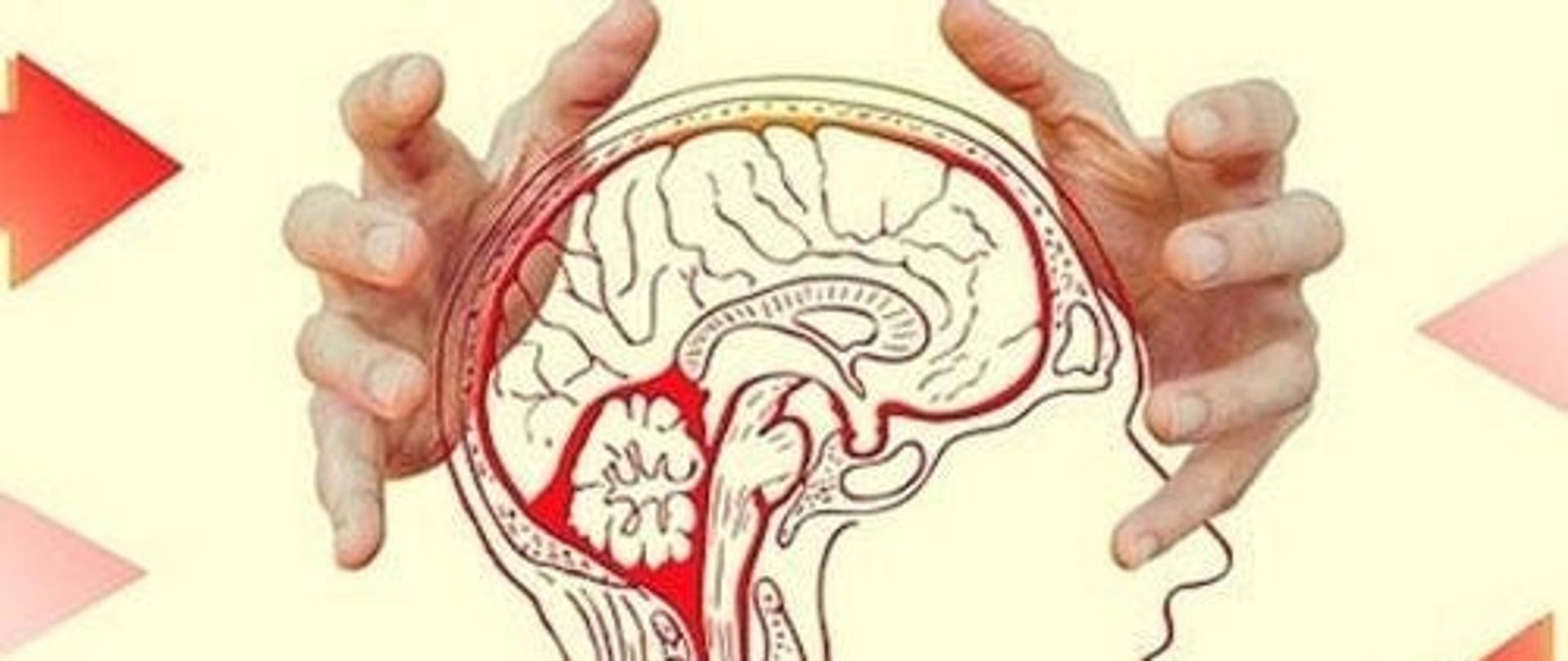 jak-zamartwianie-sie-wpywa-na-mozg