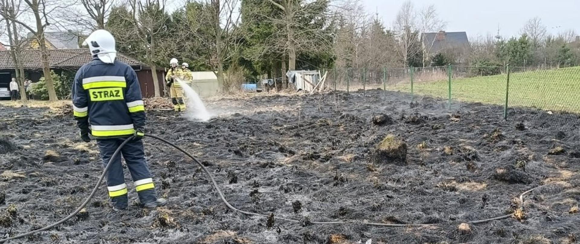 Strażacy dogaszają spalone trawy