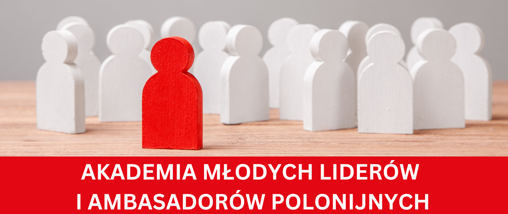 Akademia młodych liderów i ambasadorów polonijnych