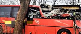 Widać mocno uszkodzony autobus od strony prawej, znajduje się blisko drzewa