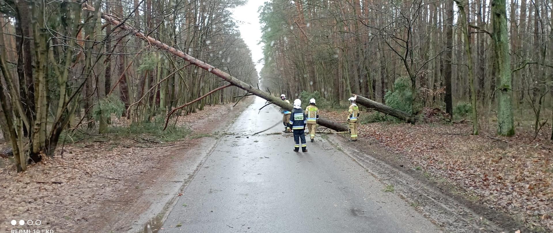 Czterech strażaków usuwa przewrócone na drogę drzewo, które blokowało przejazd w obu kierunkach. 