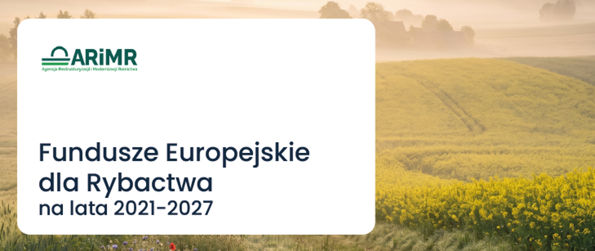Fundusze Europejskie dla Rybactwa - zdjęcie ilustracyjne