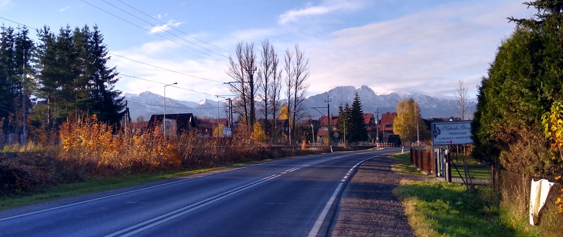 Zdjęcie przedstawia drogę jednojezdniową o dwóch pasach ruchu (po jednym w każdym kierunku). W oddali widoczne piękne pasmo górskie.