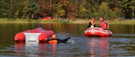 Dzień widok na tafle akwenu. W tle brzeg i linia lasu o drzewostanie iglastym, kilka drzew liściastych - liście w kolorze od zielonego do brązowego (jesień). NA brzegu stoją dw samochody pożarnicze w w kolorze czerwonym, widać też kilku strażaków. ?Na tafli znajduje się przewrócony ponton w kolorze czerwonym, obok którego pływa człowiek ubrany w tzw. suchy skafander. Do osoby w wodzie płynie drugi ponton (kolor czerwony z widocznym napisem w kolorze białym 609DŁ1. W pontonie znajduje się trzech strażaków ubranych w pomarańczowe kamizelki ratunkowe. Dwóch z nich ma nałożone kaski w kolorze czerwonym.