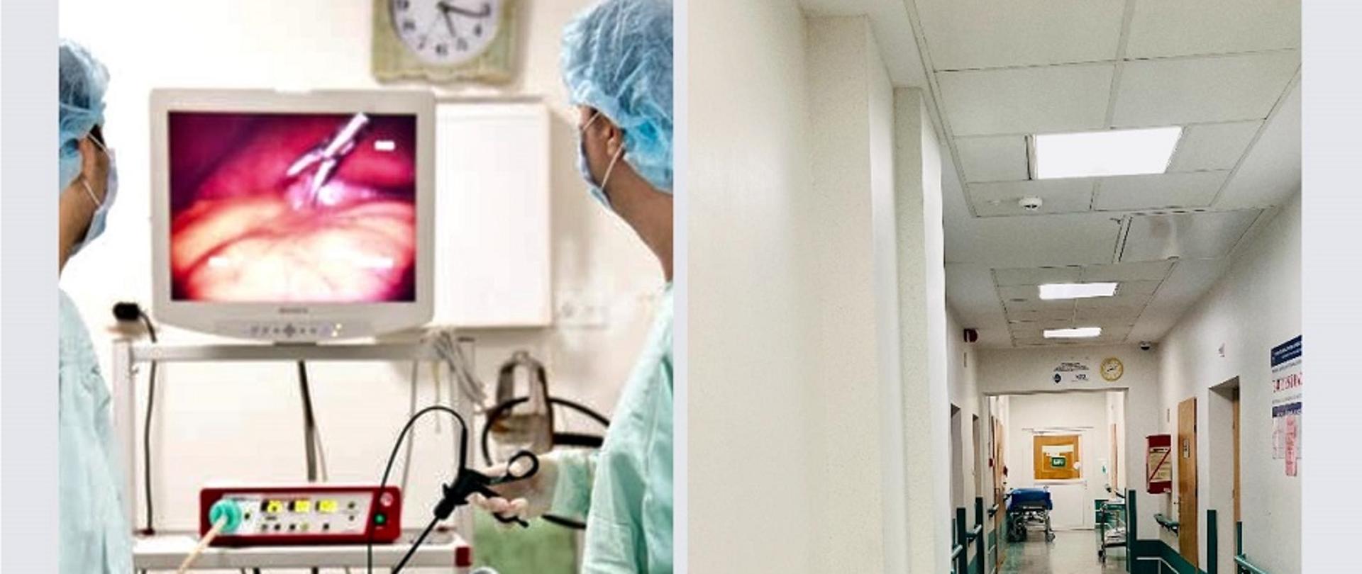 dzialalnosclecznicza