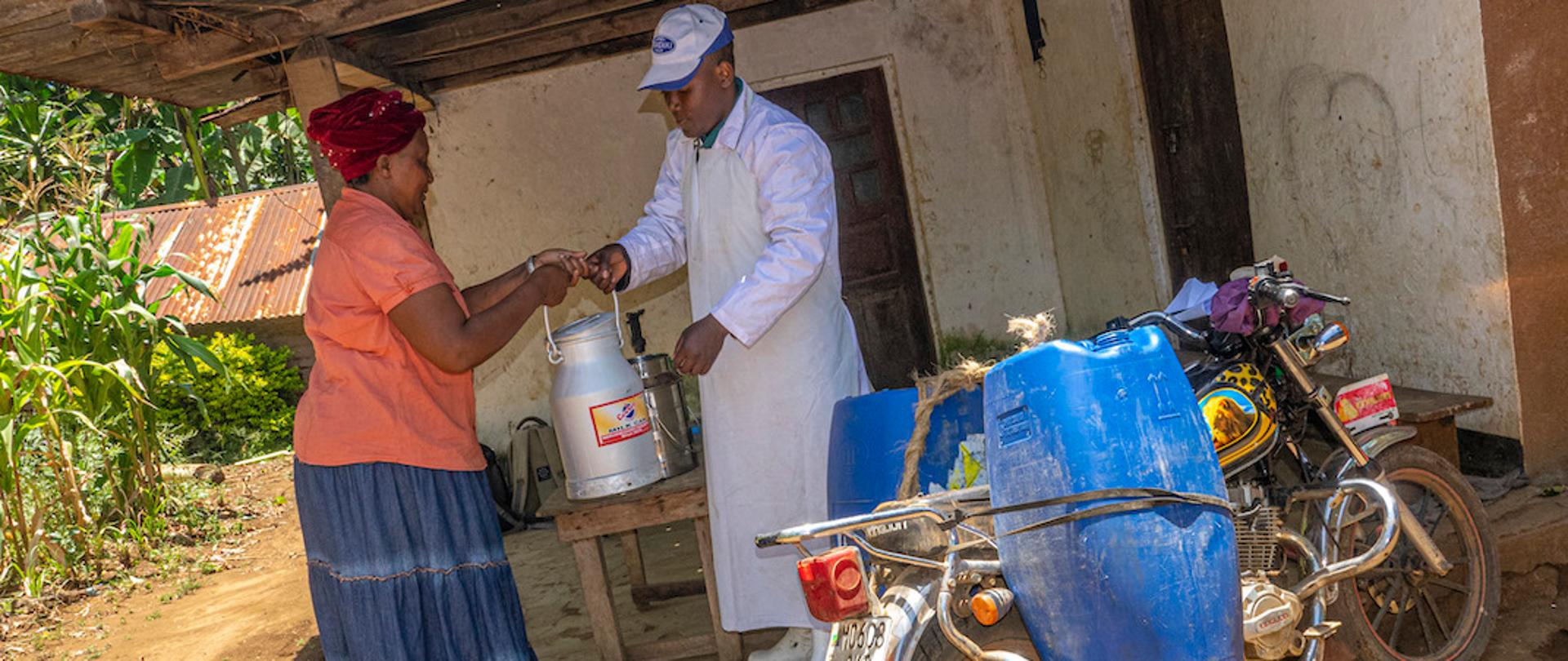 skup mleka do mleczarni