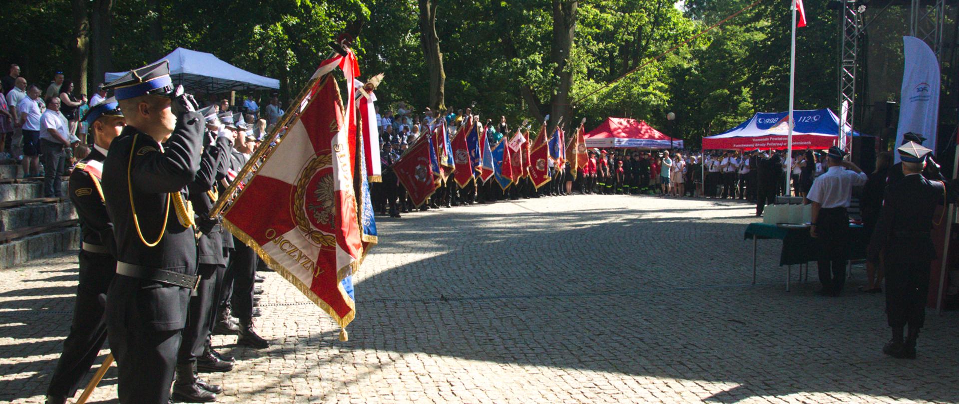 poczty sztandarowe na zbiórce na placu w parku