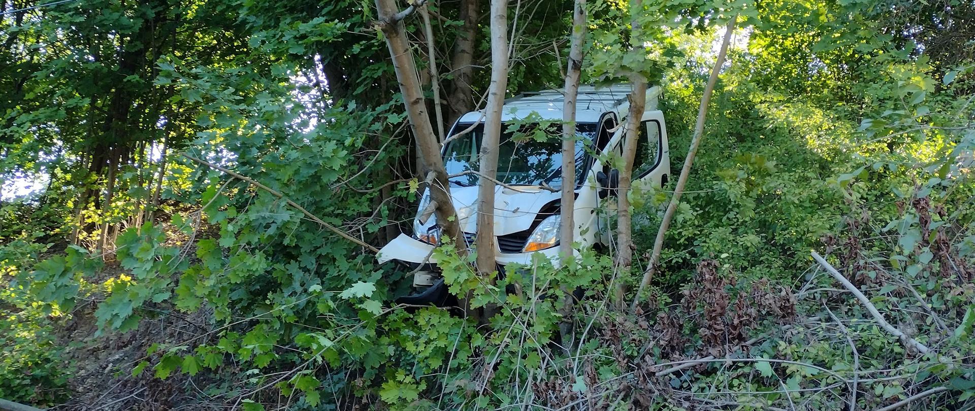 Bus zawieszony na drzewie w miejscowości Stoki Małe gmina Ćmielów.