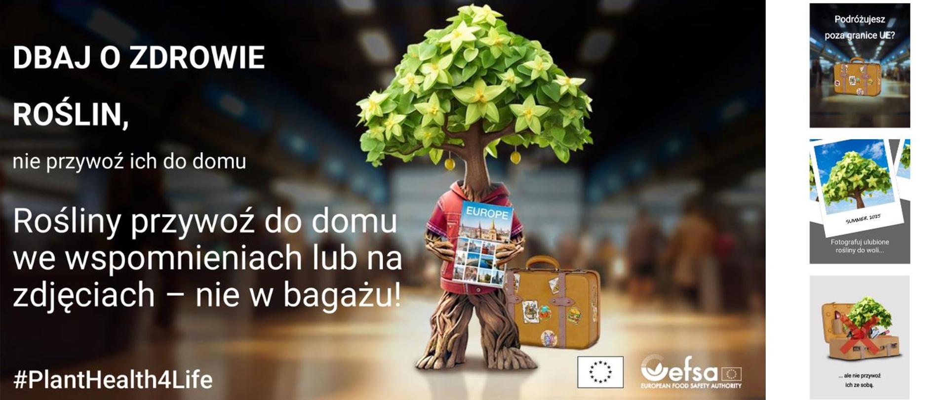 PlantHealth4Life - postać-roślina wybierająca się w podróż