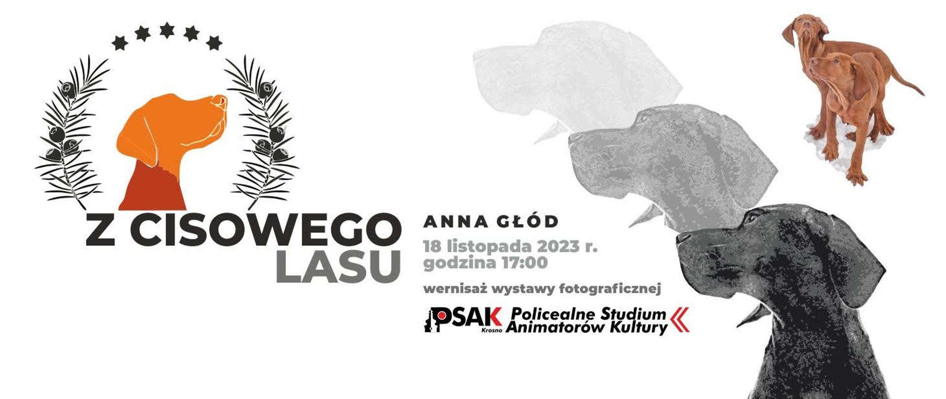 Plakat wystawy indywidualne Słuchaczki II roku Studium Anny Głód. Na białym tle zdjęcia psów, tytuł wystawy: Z cisowego lasu oraz data i miejsce wystawy.