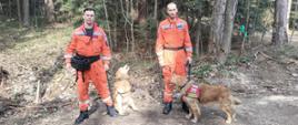 Strażacy z psami w lesie