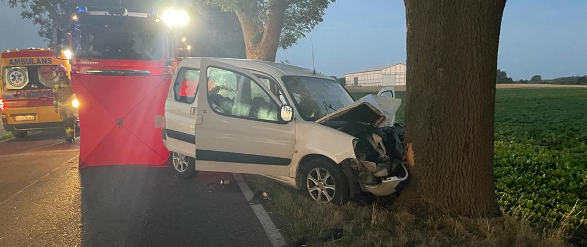 Biały samochód przodem wciśnięty w drzewo za nim parawan oraz samochód strażacki i karetka