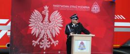 Przemówienie Dyrektora Wykonawczego ZOSP RP w Poznaniu 