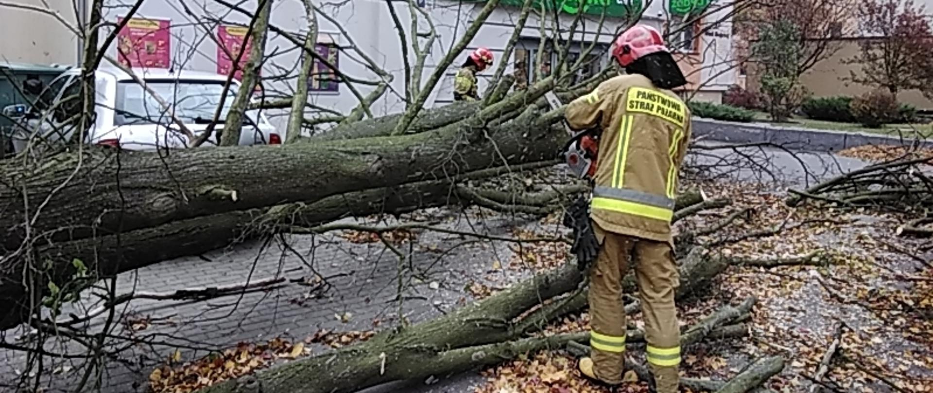 Funkcjonariusze usuwają powalone drzewo 