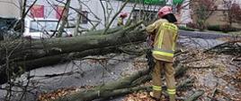 Funkcjonariusze usuwają powalone drzewo