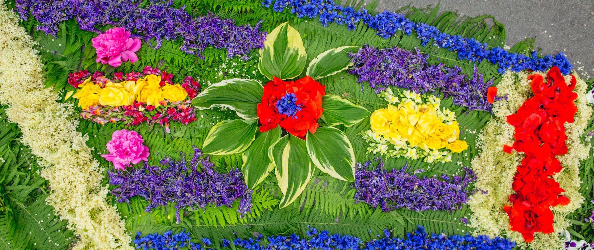 Kwietne dywany na Boże Ciało – niematerialne dziedzictwo kulturowe przekazywane z pokolenia na pokolenie