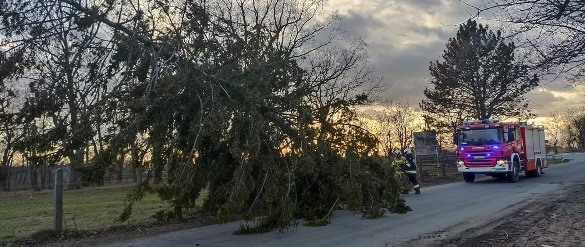 Interwencje związane z silnym wiatrem na terenie powiatu brzeskiego w dniu 17.02.2022 r.