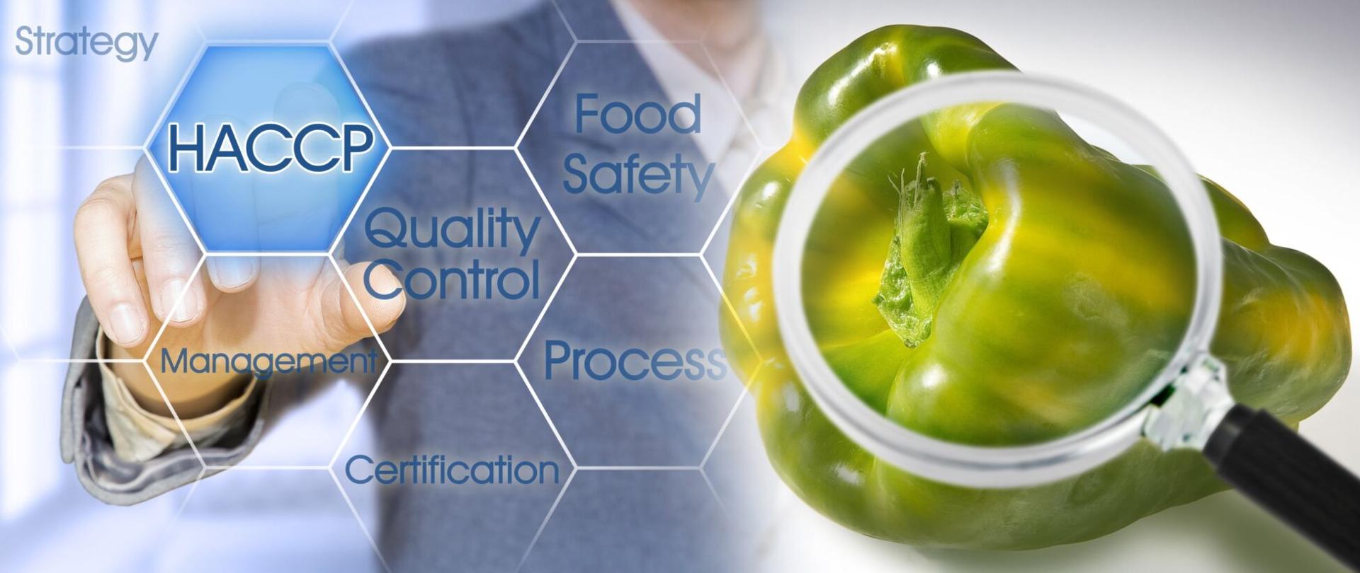 Ogólne zasady higieny żywności, HACCP. Wersja polska.