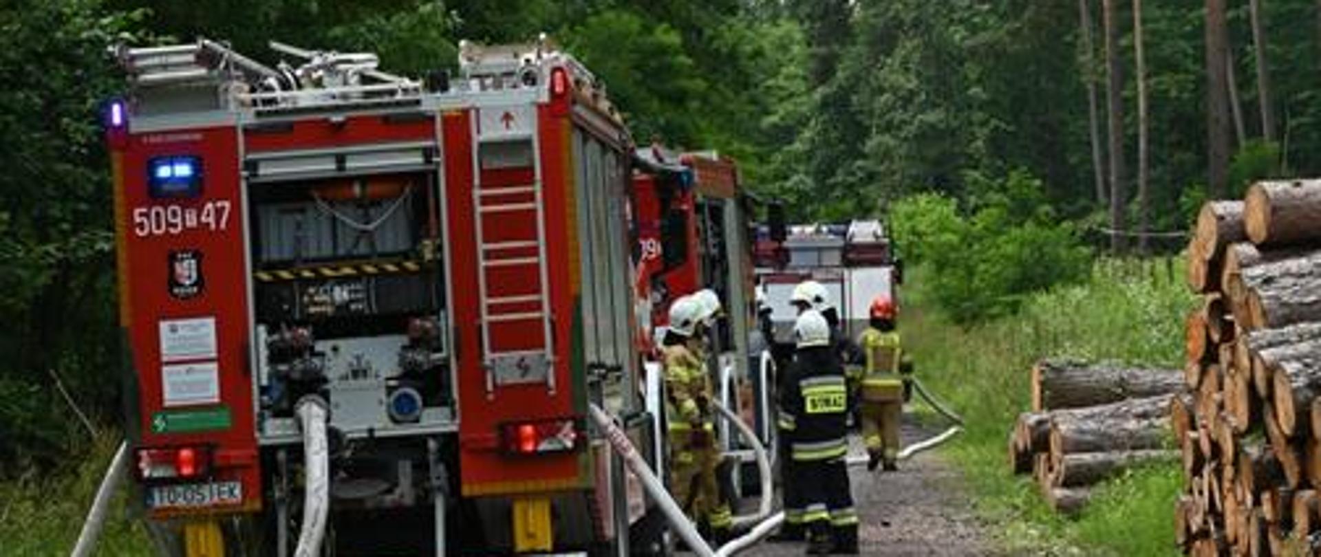 Ćwiczenia - LAS 2023