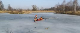 Zdjęcie przedstawia dwóch ratowników PSP z saniami wodno-lodowymi podchodzących do osoby znajdującej się w wodzie.