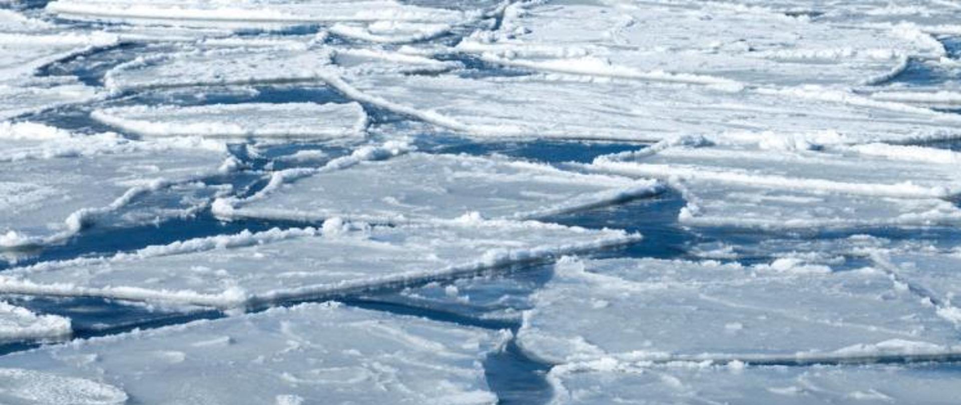 zdjęcie kra na wodzie