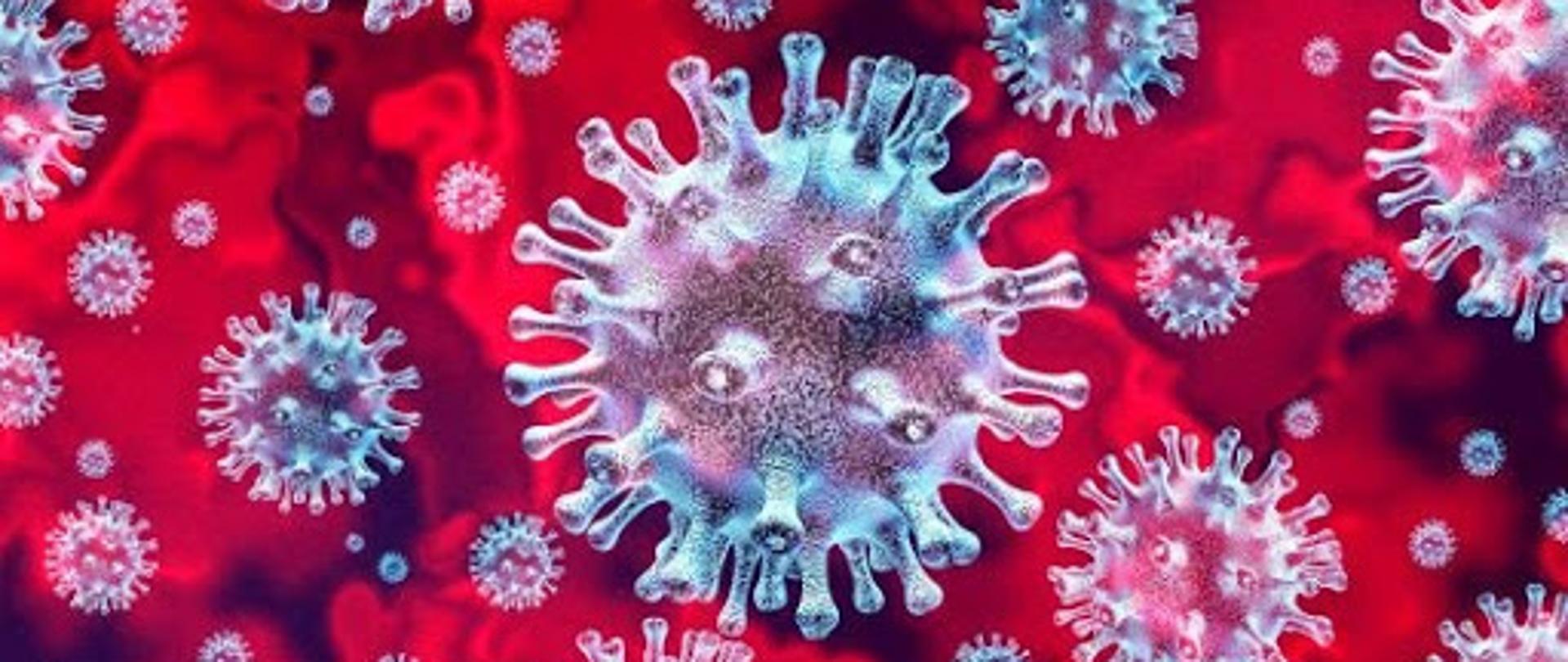 Grafika przedstawia symulację wyglądu koronawirusa w dużym przybliżeniu.