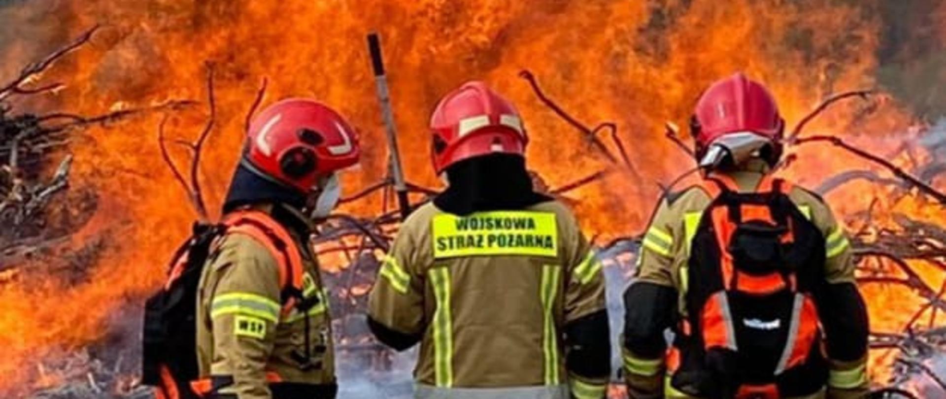 Zdjęcie przedstawia strażaków Wojskowej Straży Pożarnej z Międzyrzecza podczas realizacji zadań w związku z ćwiczeniami w formie warsztatów na terenie Nadleśnictwa Międzyrzecz.