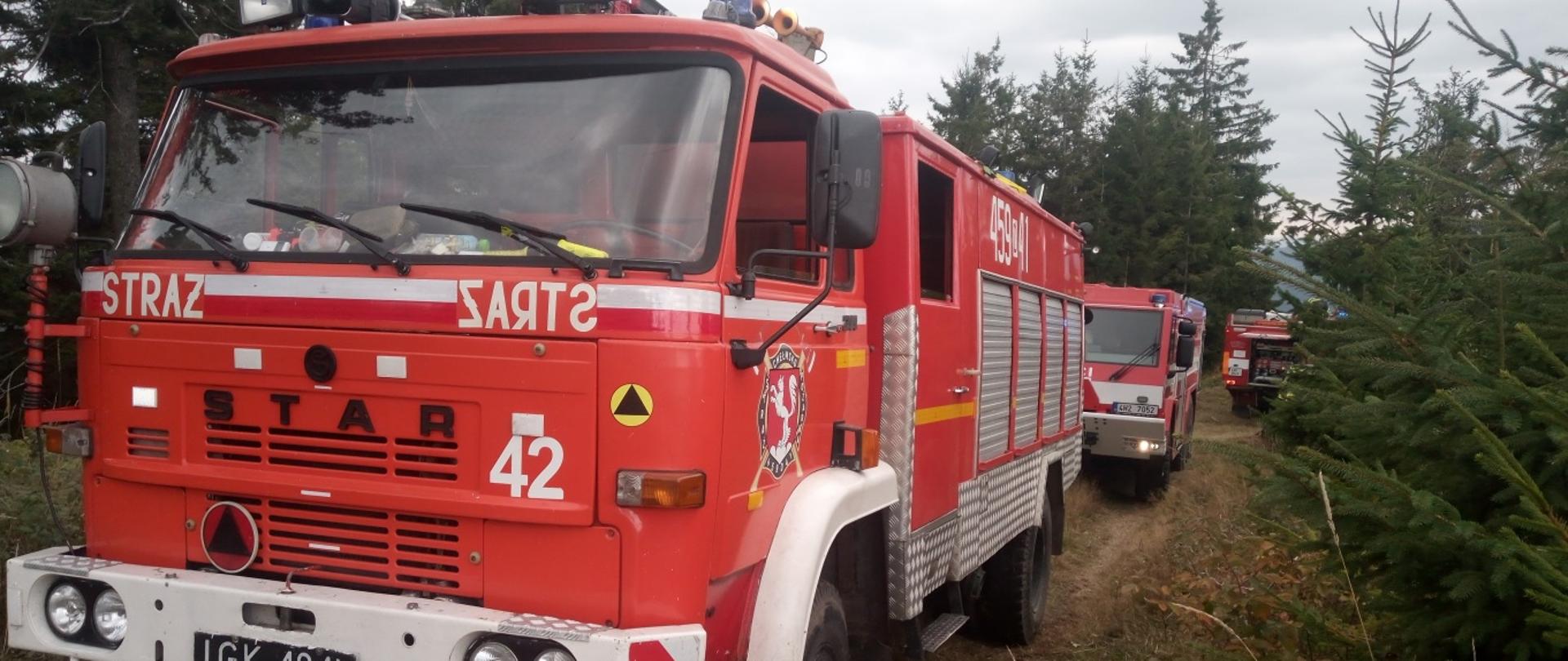 Na planie głównym po środku samochód ratowniczo gaśniczy Star w kolorze czerwonym, za nim ustawione na drodze leśnej pozostałe dwa pojazy straży pożarnej. Ścieżka leśna w pobliżu samochodów znajdują się drzewa iglaste.
