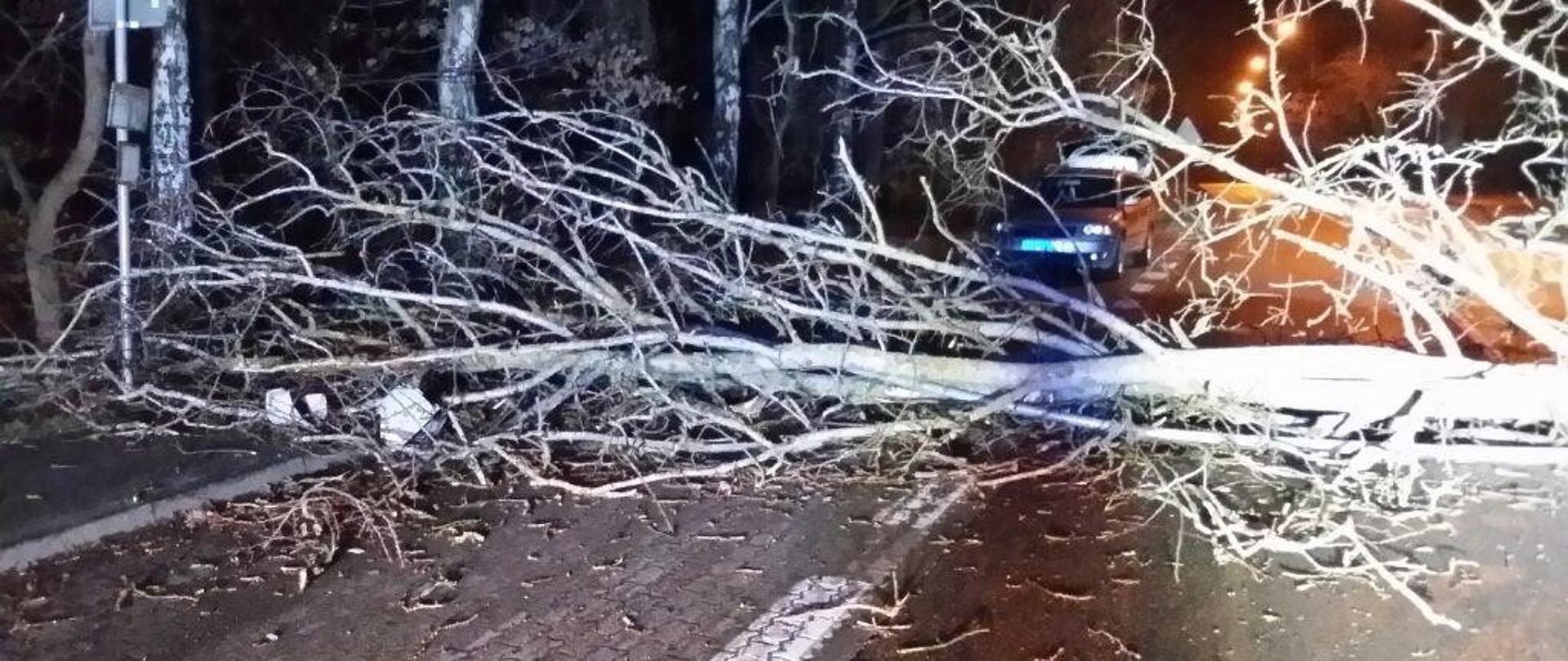 Pora nocna, sztuczne oświetlenie, jezdnia na niech powalone drzewo blokujące ruch samochodów. W oddali za gałęziami drzewa widoczny zarys stojącego samochodu osobowego. 
